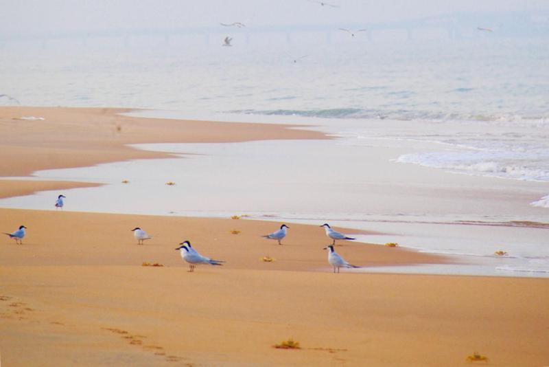 Khomba Beach House Alankuda Εξωτερικό φωτογραφία