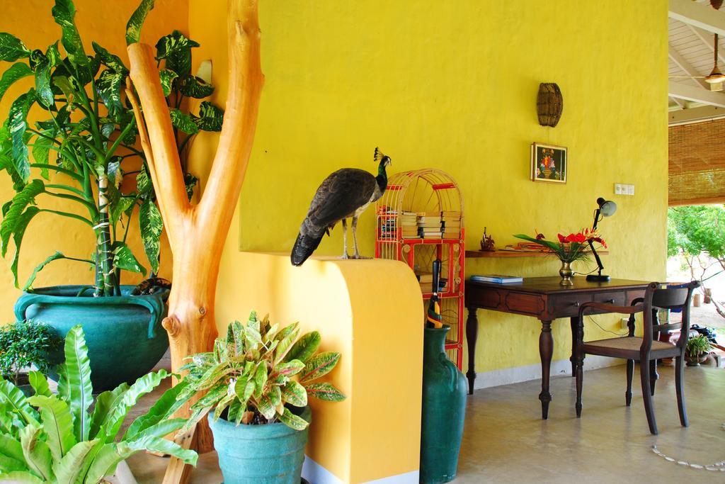 Khomba Beach House Alankuda Εξωτερικό φωτογραφία